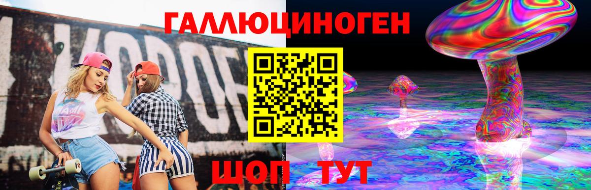 Галлюциногенные грибы MAGIC MUSHROOMS  Вход с VPN  Кингисепп  Псилоцибиновые грибы мухоморы 